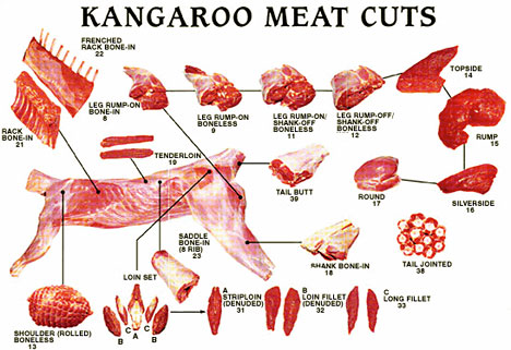 kangaroo-meat.jpg